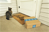 Designing Subscription Box Packaging That Delights and Retains Customers